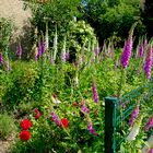 Digitalisierter Garten