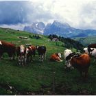 Digitalisiertes Dia -nicht gescannt- (4) Seiser Alm Dolomiten