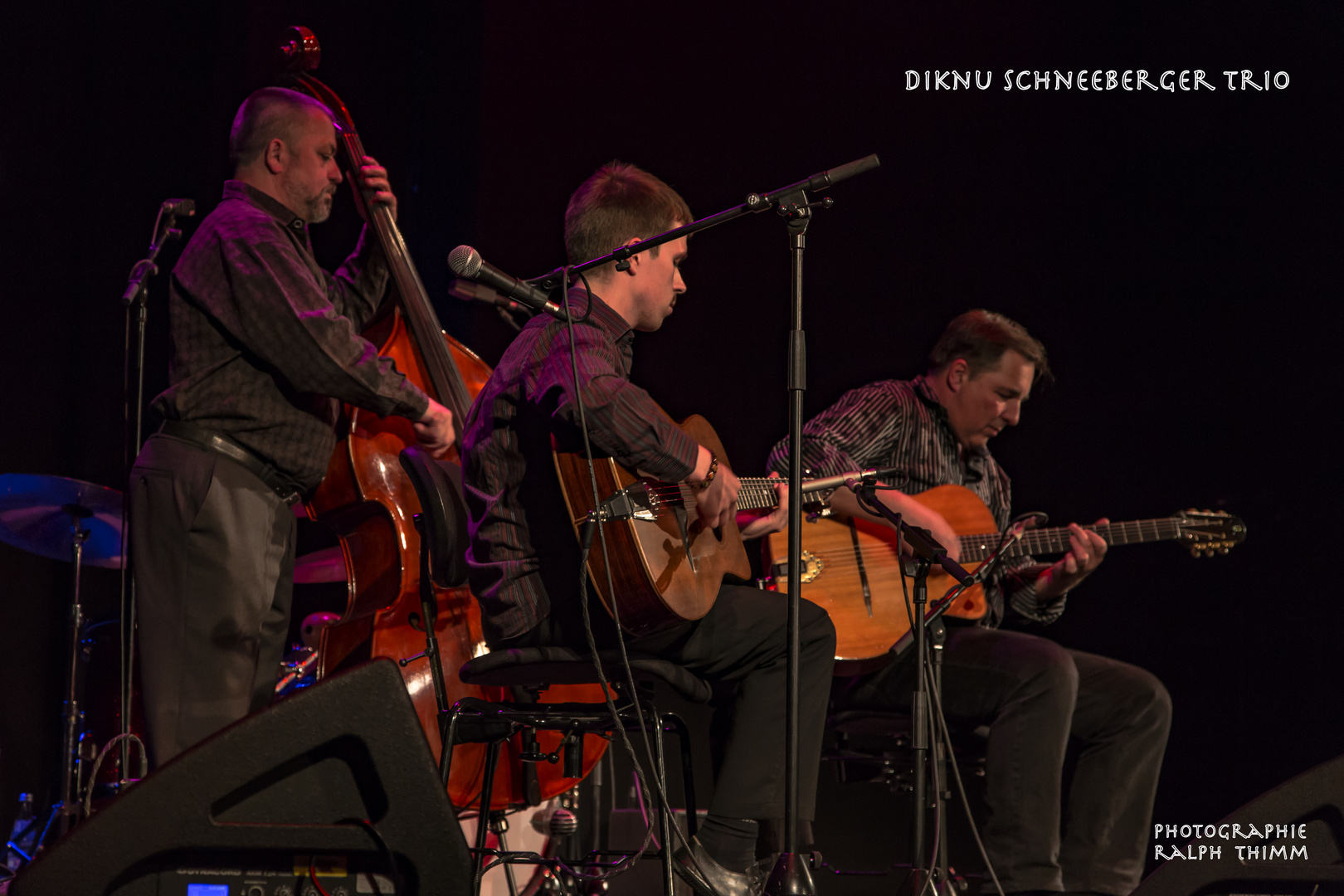 Diknu Schneeberger Trio