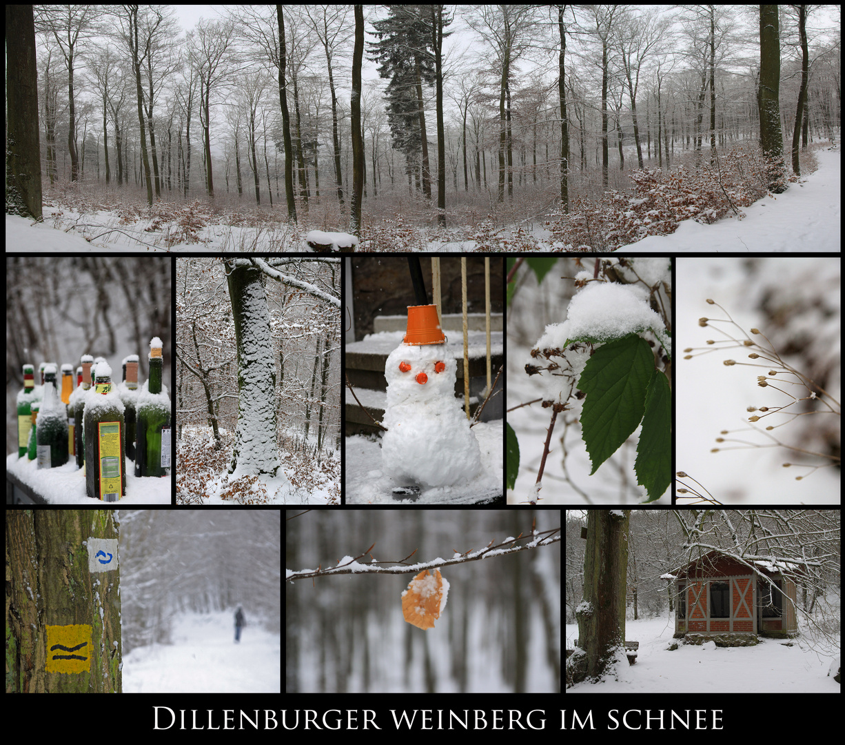 * Dillenburger Weinberg im Schnee *