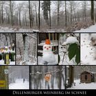 * Dillenburger Weinberg im Schnee *