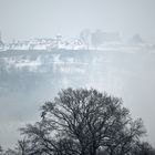 Dilsberg im Nebel