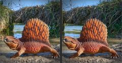 Dimetrodon 3D