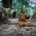 Dimetrodon