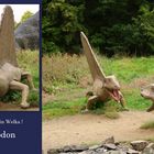 Dimetrodon im Saurierpark Klein Welka !