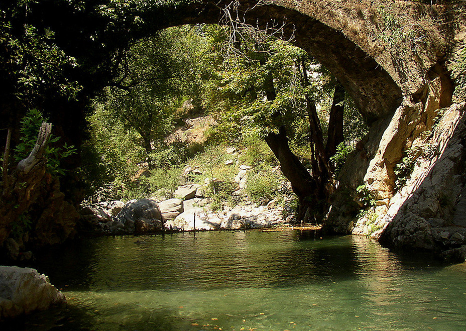 Dimja-Brücke in der Türkei