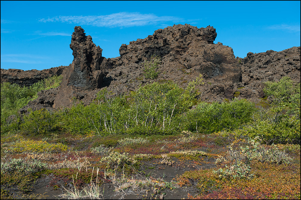 [ Dimmuborgir ]