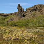 Dimmuborgir