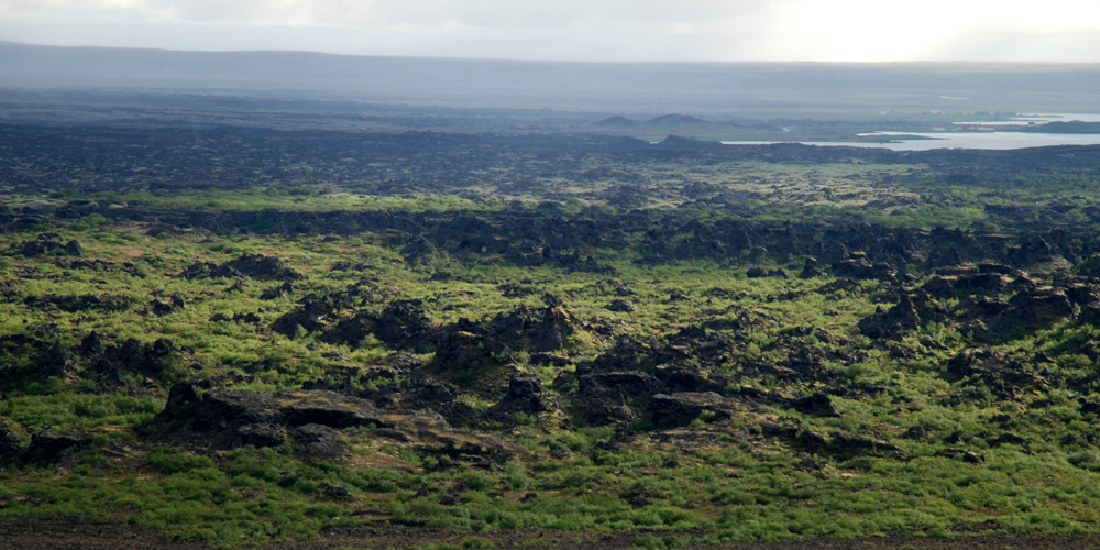 Dimmuborgir I