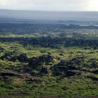 Dimmuborgir I