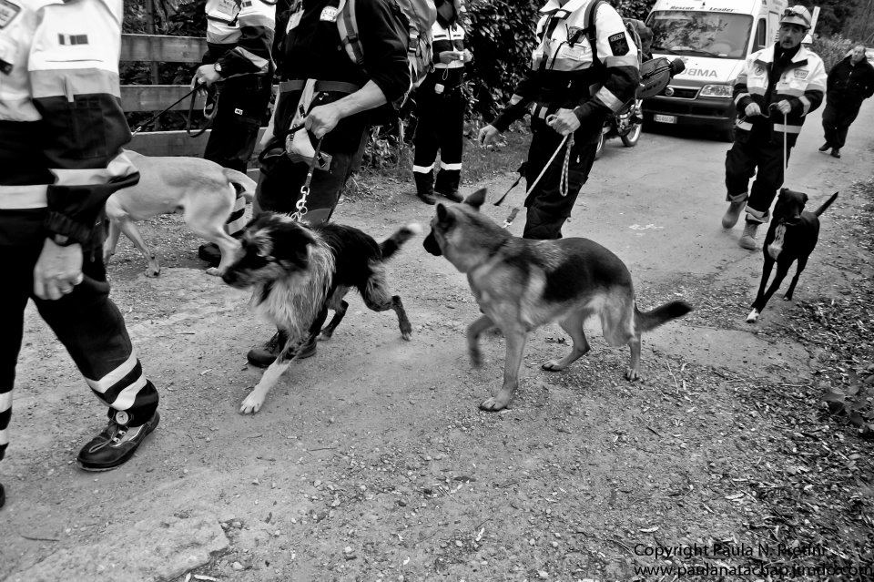 Dimostrazione Protezione Civile - Cinofili -