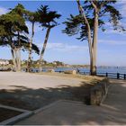 dinard