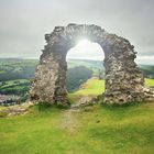 Dinas Bran