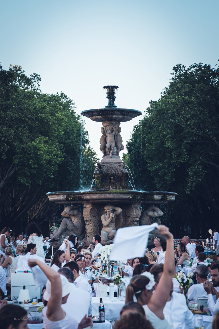 Diner en Blanc #1