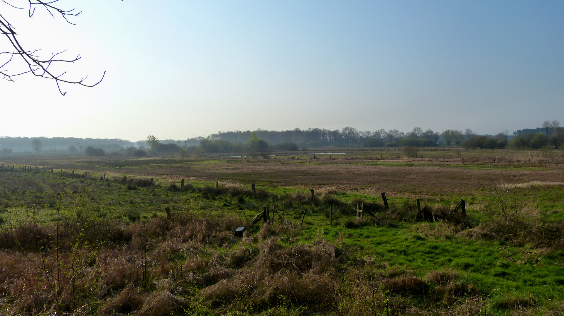 Dingdener Heide 1