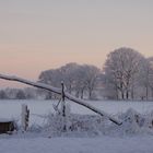 Dingdener Heide 2