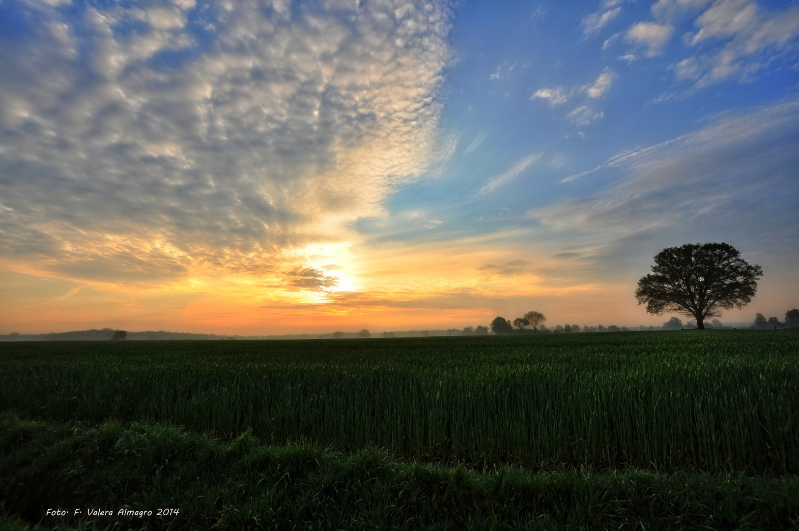 Dingdener Heide 2014