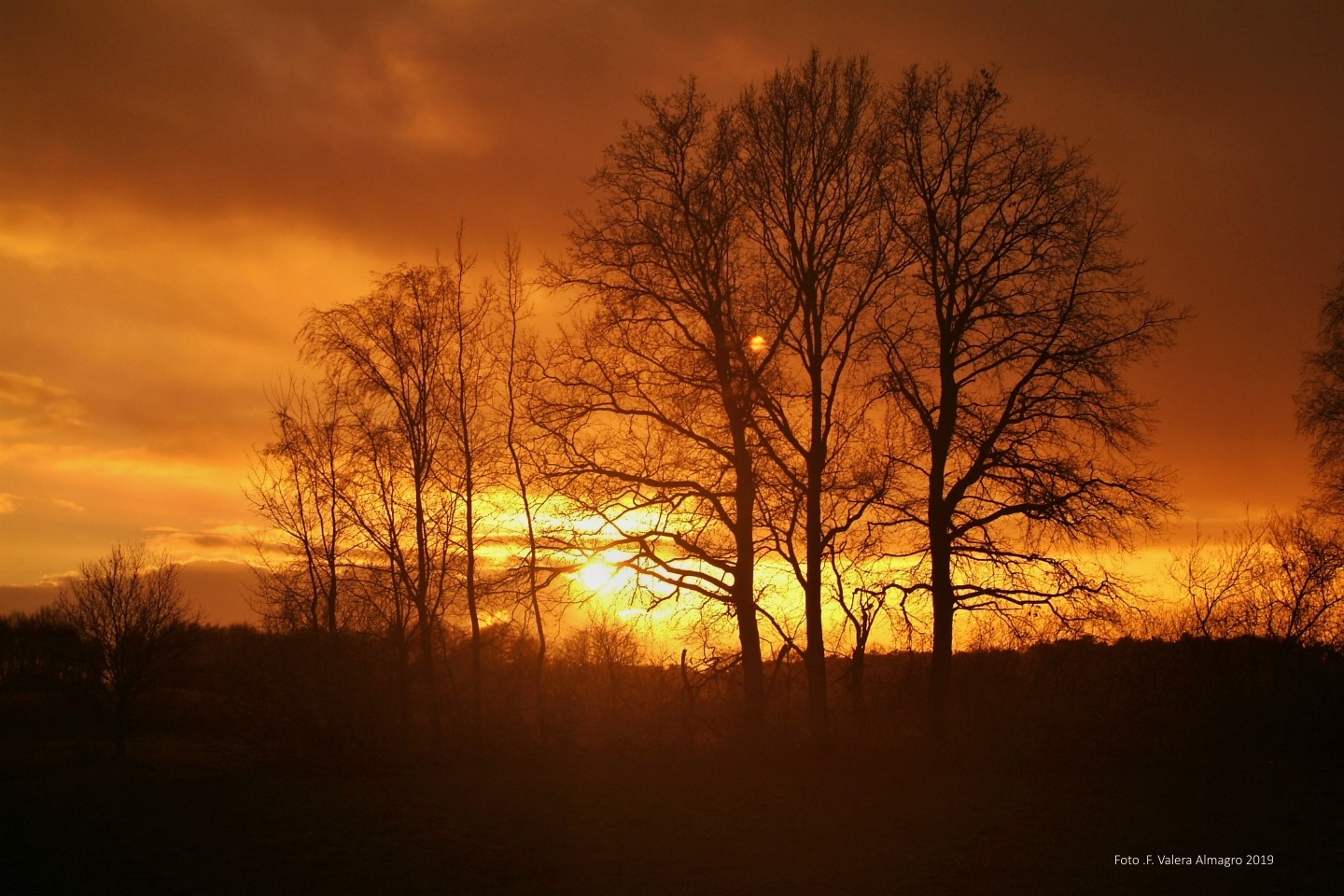 Dingdener Heide 2019