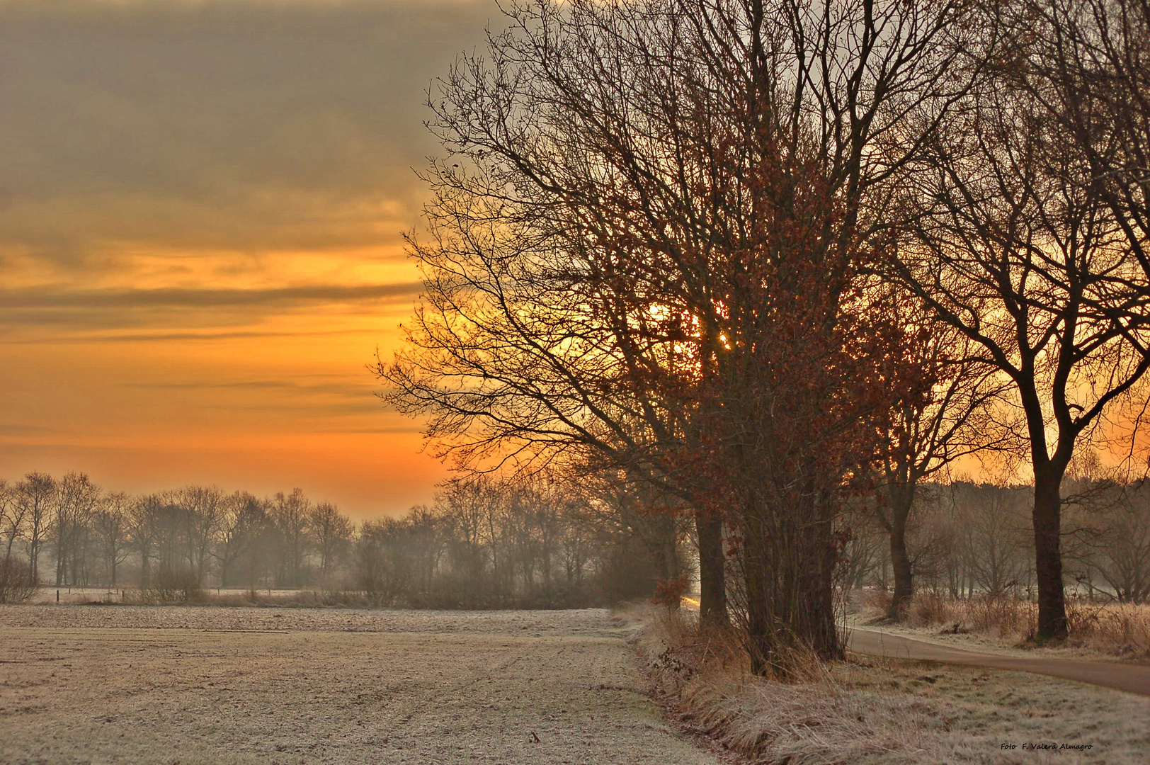 Dingdener Heide 4