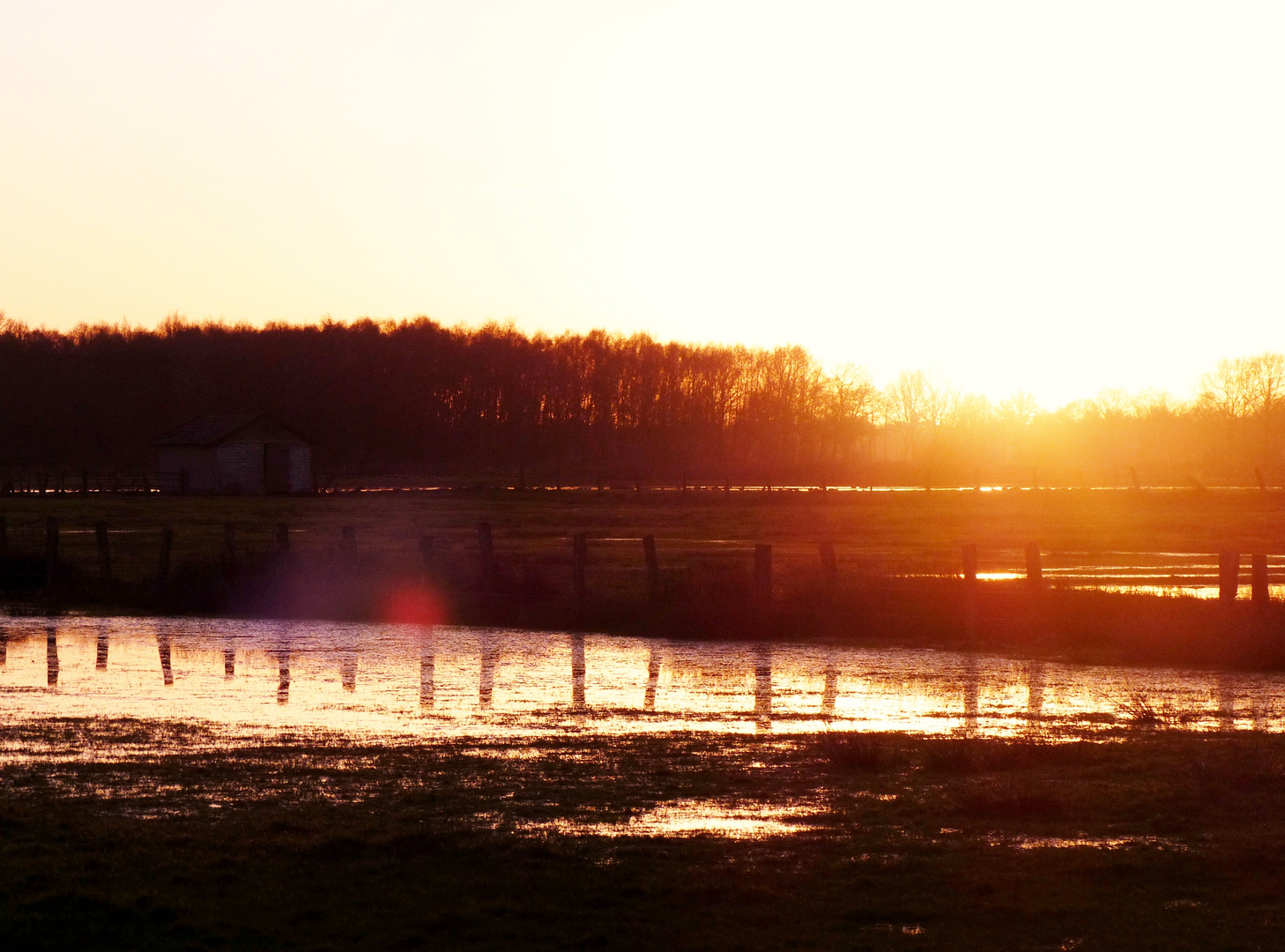 Dingdener Heide