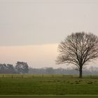 Dingdener Heide