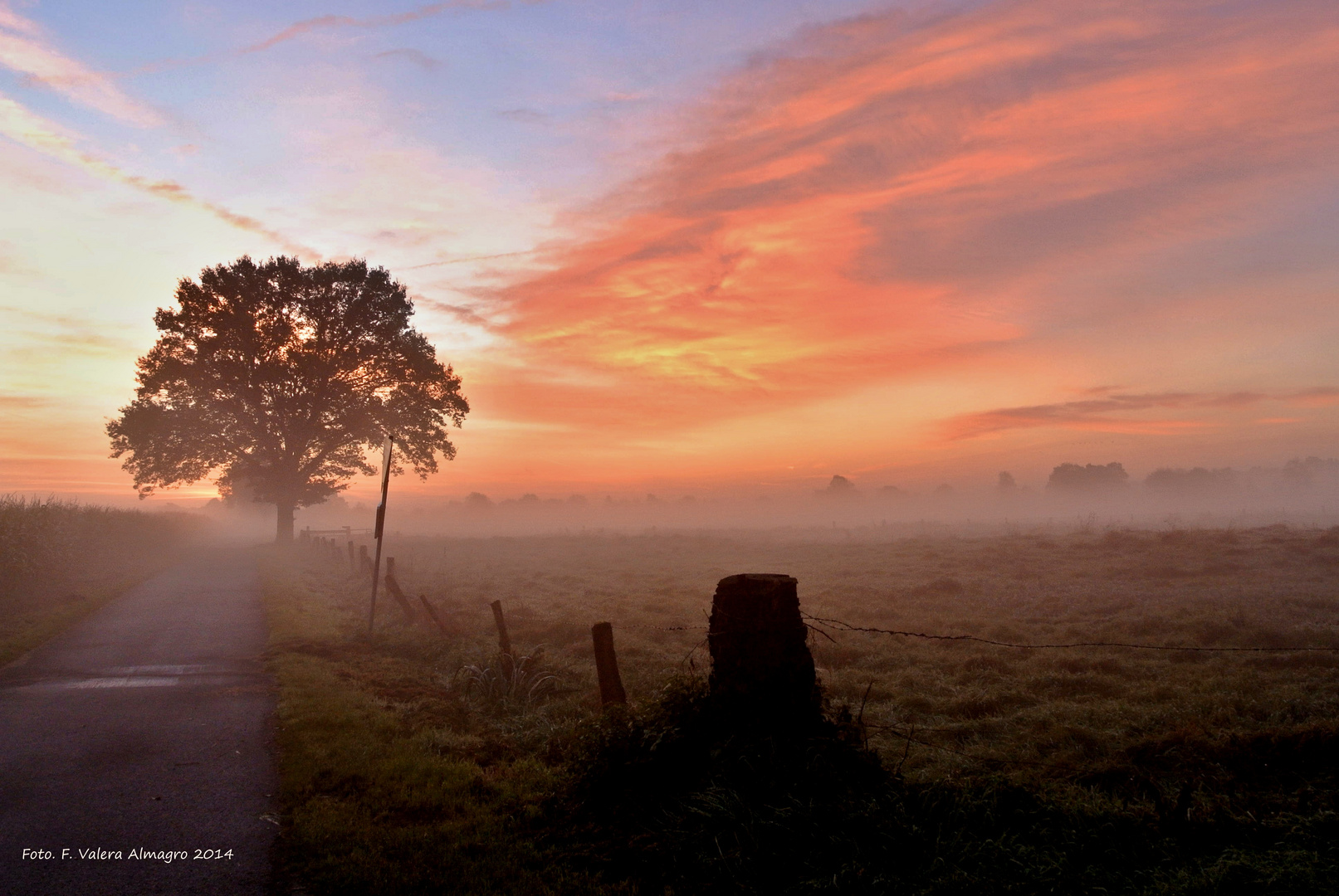 Dingdener Heide