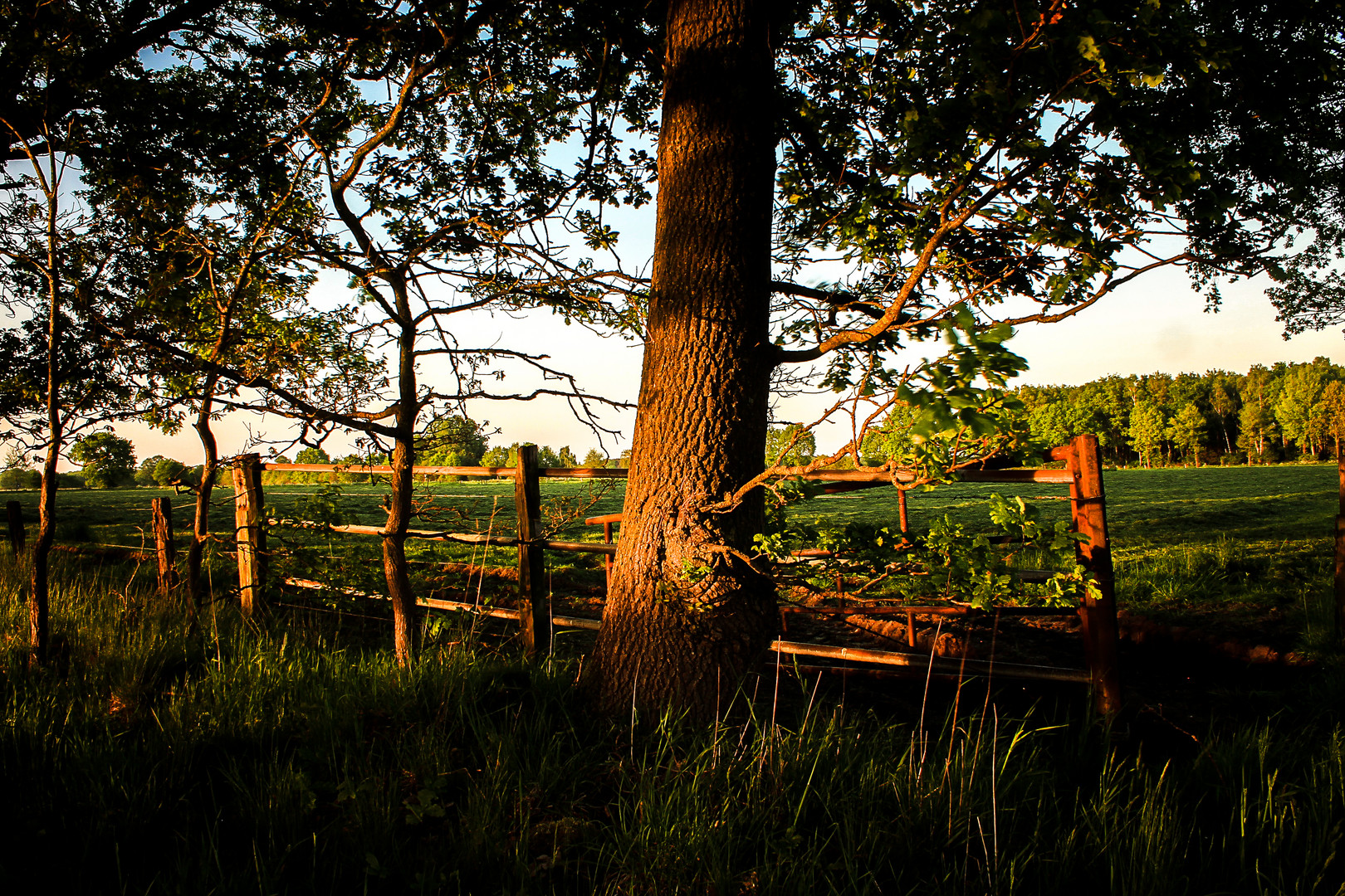 Dingdener Heide