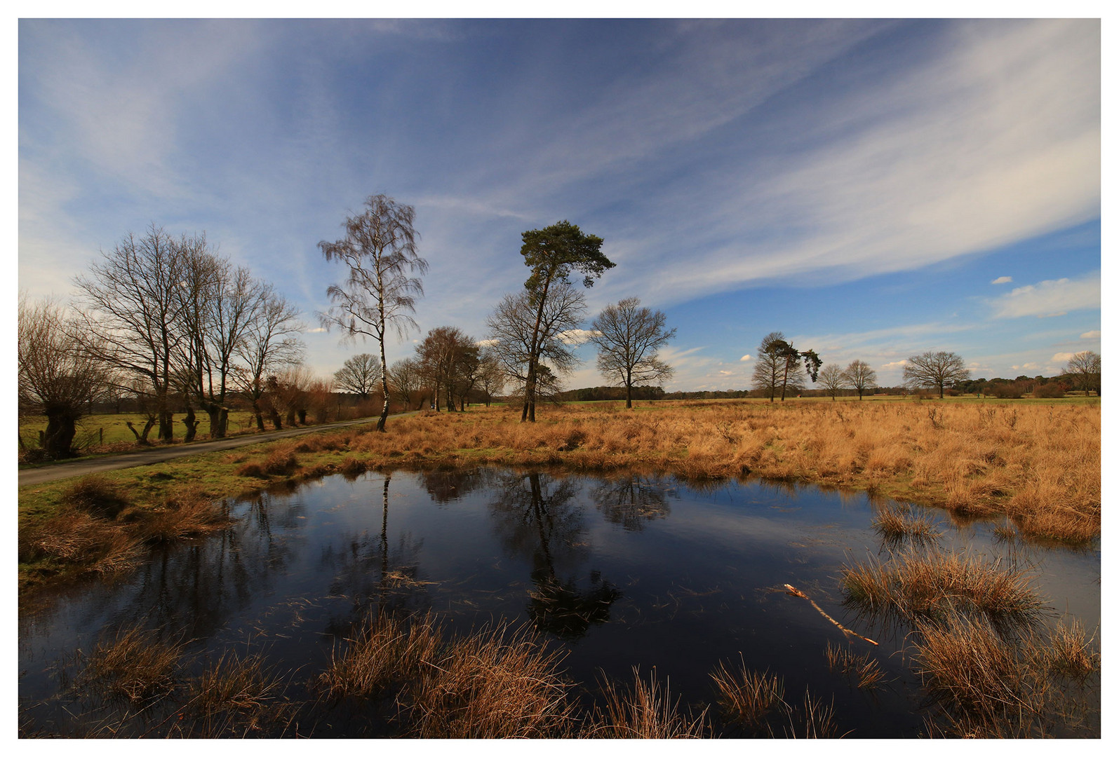 Dingdener Heide