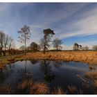 Dingdener Heide