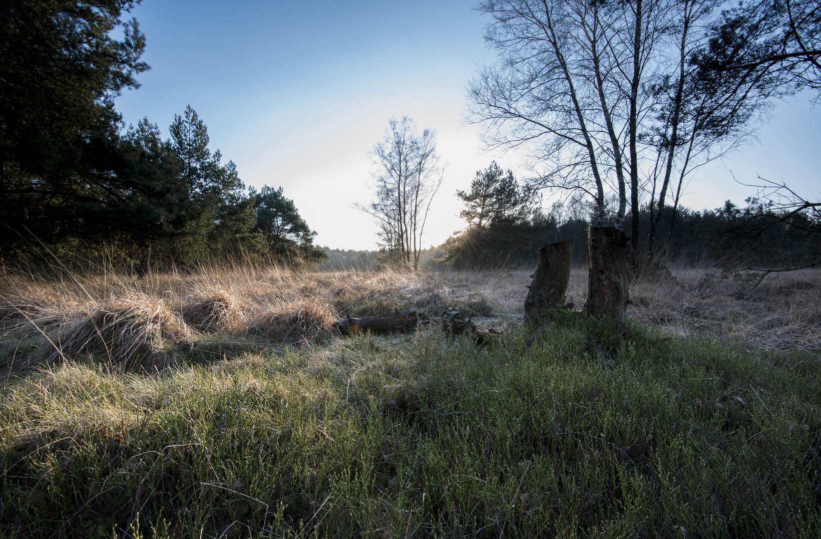 Dingdener Heide