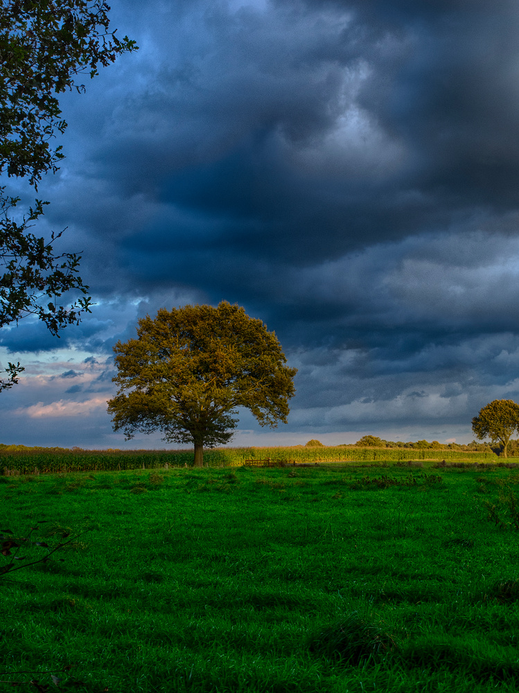 Dingdener Heide in der nähe von Bocholt