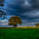 Dingdener Heide in der nähe von Bocholt