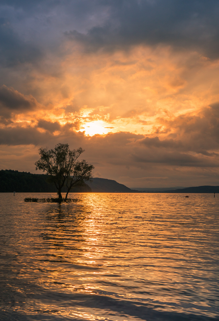 Dingelsdorf im Sonnenuntergang