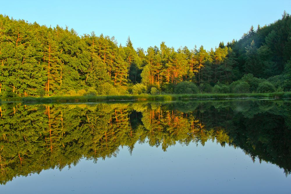 Dingelsdorfer Ried in der Abendsonne von Astrid Lohr