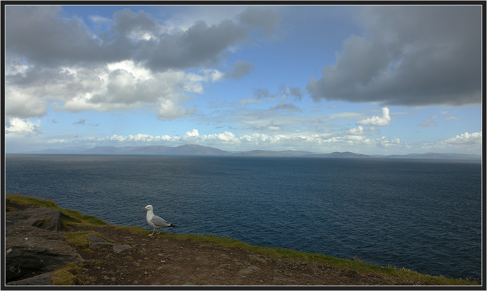 Dingle Bay