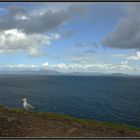 Dingle Bay