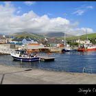 Dingle