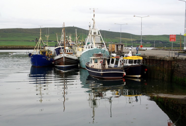 Dingle habour