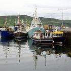 Dingle habour