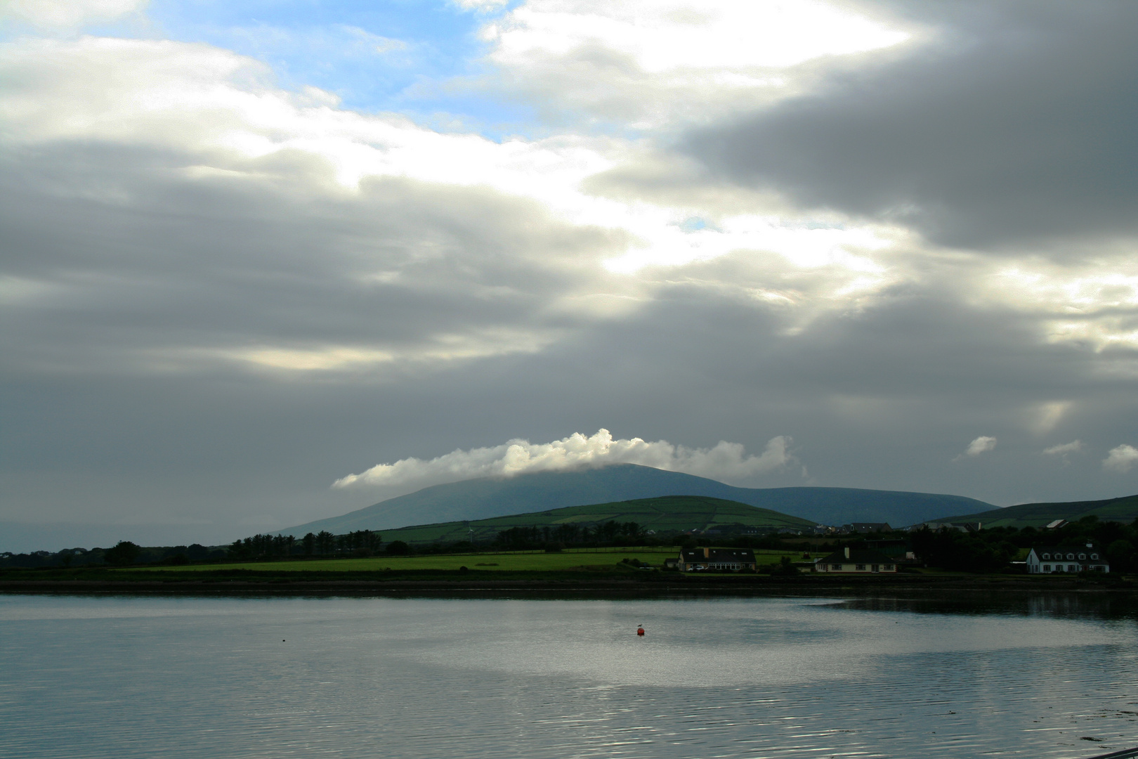 Dingle Harbour - 2012