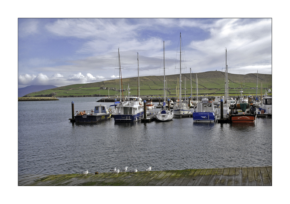 "Dingle Harbour"