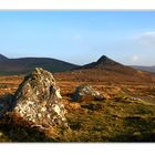 Dingle  -  Kerry  -  Ireland