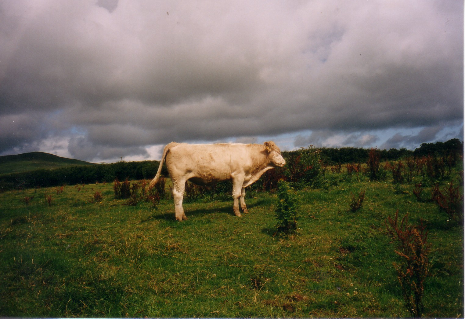 Dingle Peninsula 1