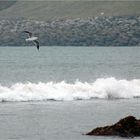 Dingle Peninsula