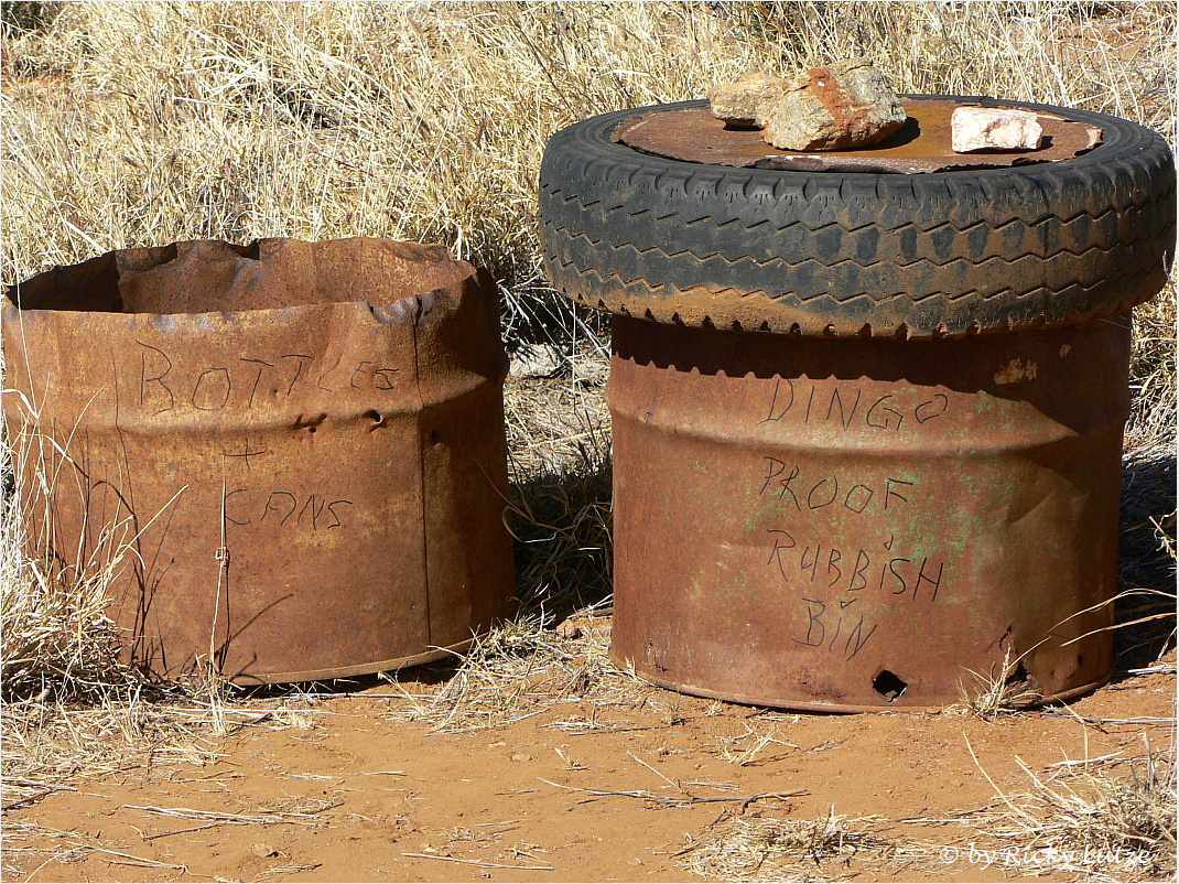 *** Dingo Proof Rubbish Bin ***