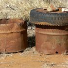 *** Dingo Proof Rubbish Bin ***