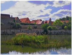 Dinkelsbühl - Am Rothenburger Weiher