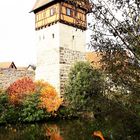 Dinkelsbühl :Bäuerlinsturm  mit Spiegelung in der Wörnitz
