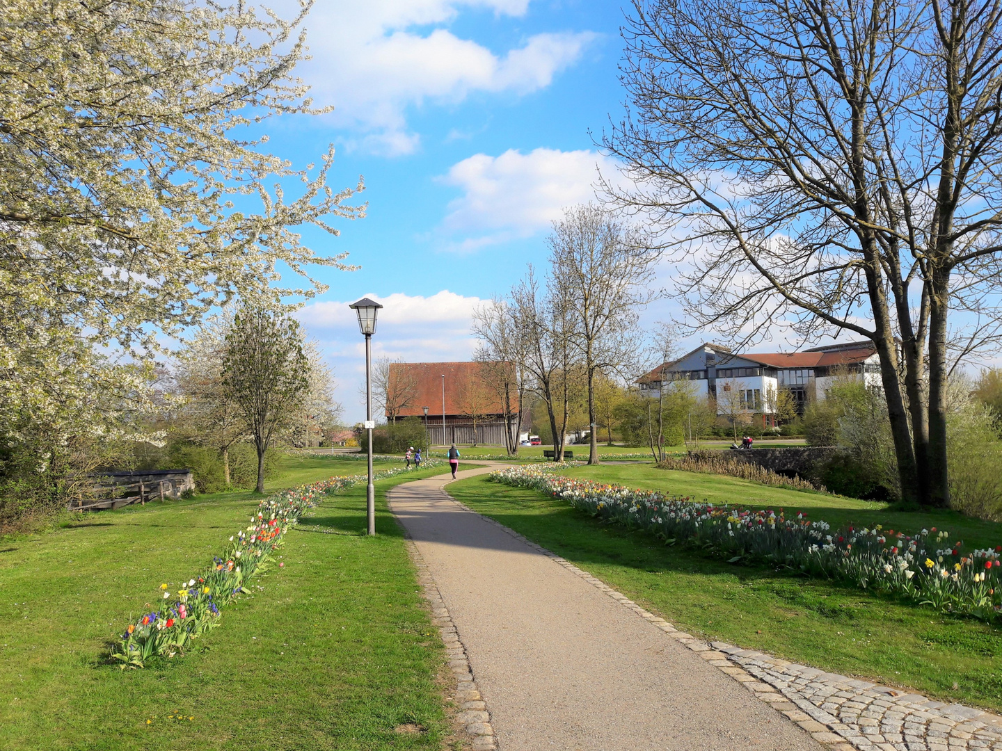 Dinkelsbühl :Blumen und Blüten 