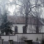 Dinkelsbühl Friedhofskirche im Morgennebel